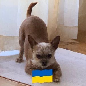 Meet your Posher, Kim